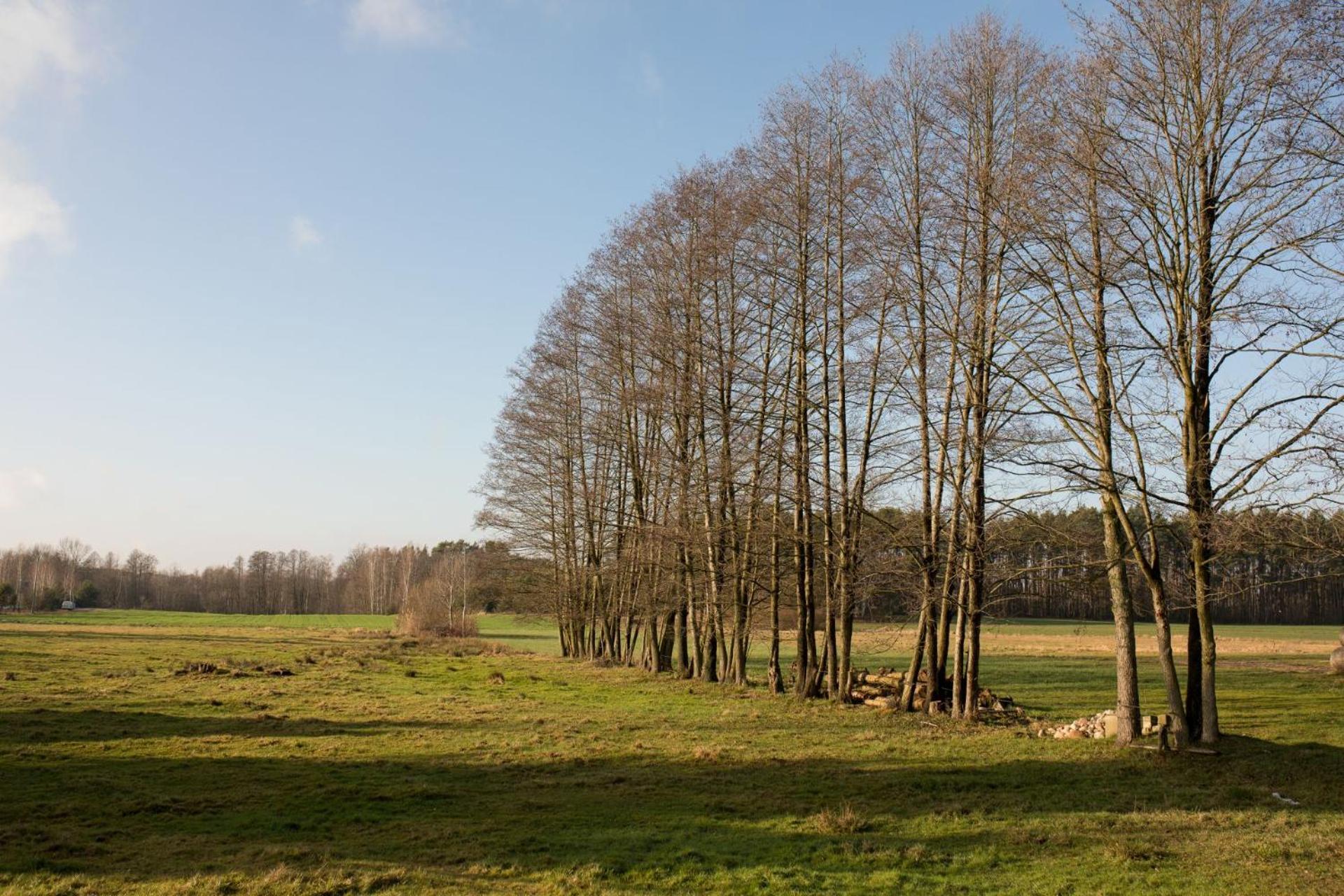 Mala Holenderka - Lewy Brzeg Narwi Vila Burlaki Exterior foto